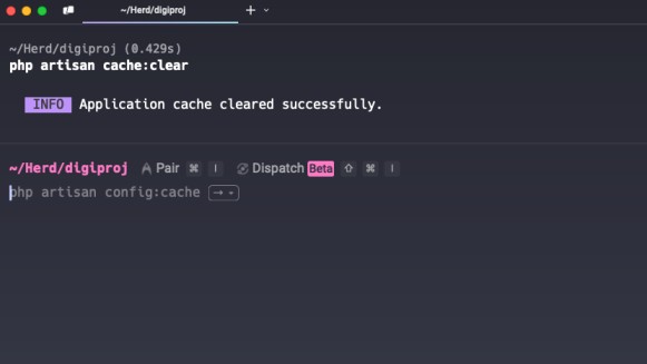 laravel cache clear image